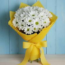 Букет цветов из:  Хризантемы в Симферополе