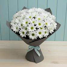 Букет цветов из:  Хризантемы #REPLACE_PRED# Симферополе