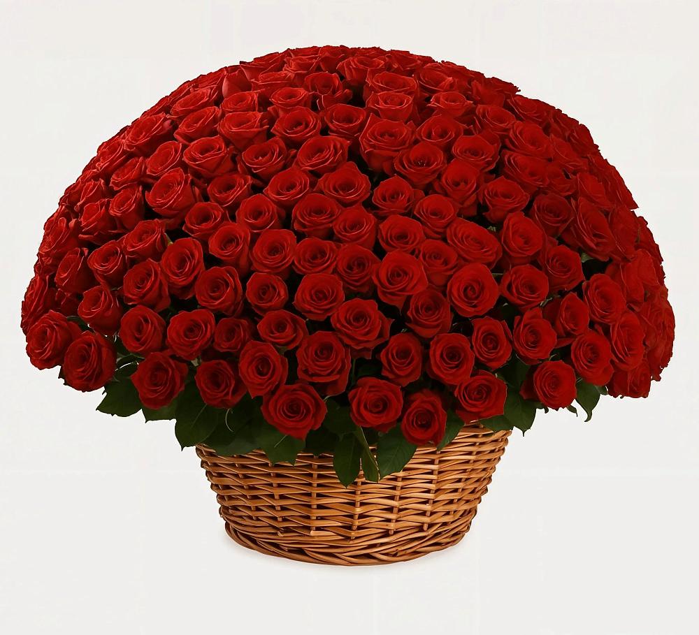 Премиум букет из: Розы в Симферополе