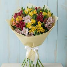 Букет цветов из:  Альстромерии в Симферополе