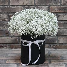 Цветочная композиция из Гипсофила в шляпной коробке #REPLACE_PRED# Симферополе