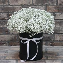Цветочная композиция из Гипсофила в шляпной коробке в Симферополе