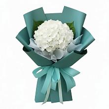 Букет цветов из:  Гортензия в Симферополе